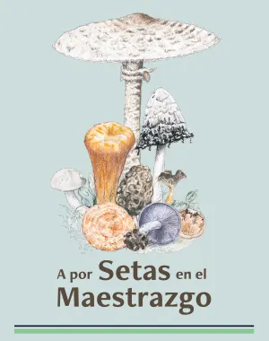 Diseño gráfico de ilustraciones y folletos