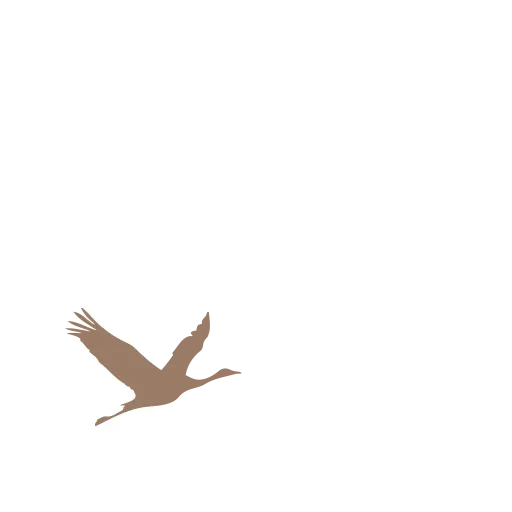 logo-beatriz-marron Logotipo Beatriz Bertolín - Grulla marrón